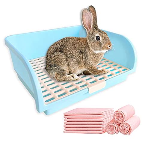 The 16 Best Litters For Rabbits in 2024 - kirbyresearch.com