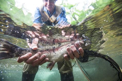 The 2023 list of St. Louis lakes stocked with rainbow trout
