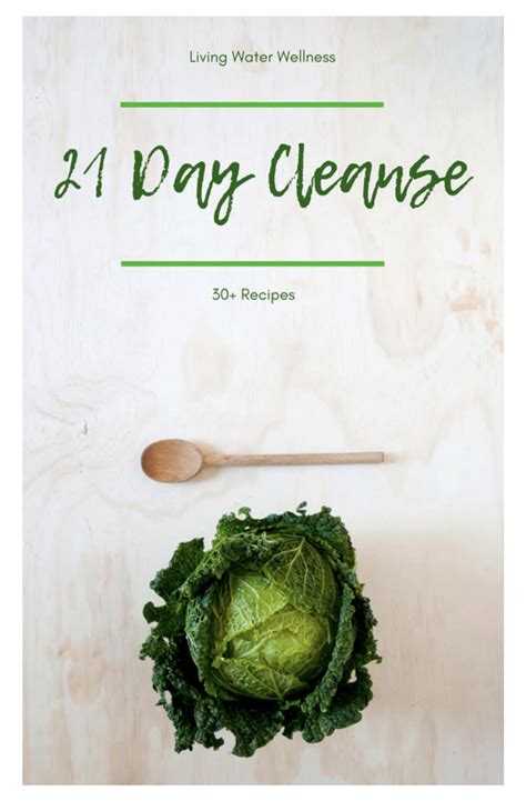 The 21 day cleanse the definitive guide to a naturopathic. - Sony kdl 46v4100 full service manual repair guide.