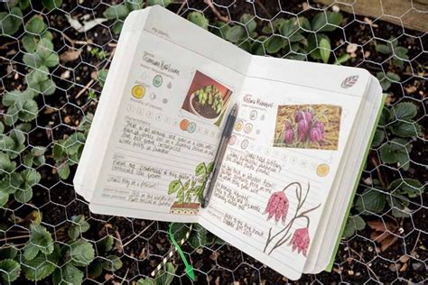 The 2minute gardener guide journal and planner. - Manuale di chiodatrice per cornici per artigiani.