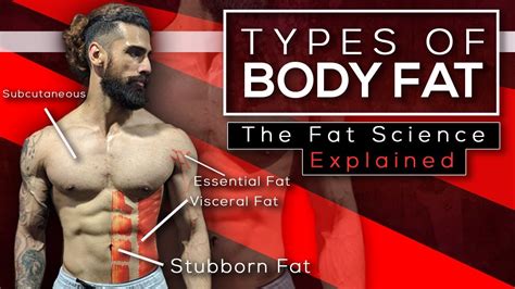 The 4 Types of Body Fat livestrong