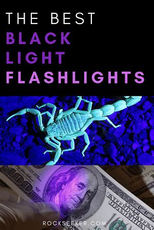 The 5 Best Black Light Flashlights (Plus 7 Everyday Tips For UV …