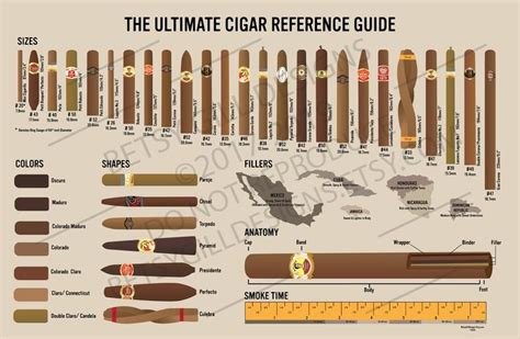 The 5 Best E-Cigars: Our Ultimate Guide & Reviews - Vaping Daily