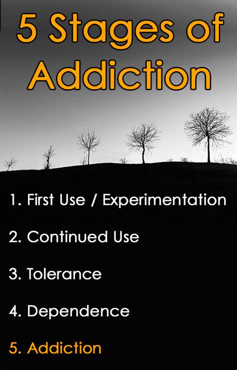 The 5 Stages Of Addiction Behavioral Roadmap Inspire Malibu