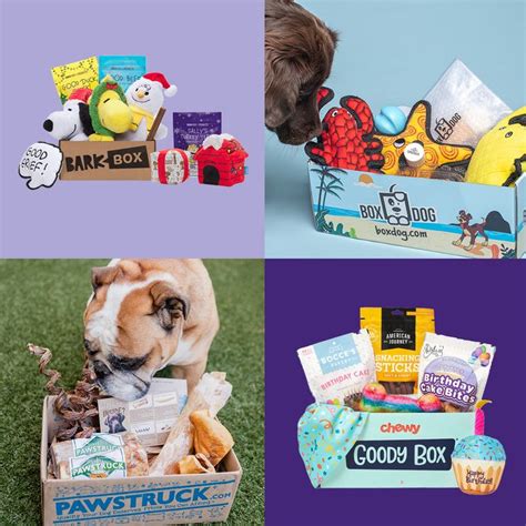 The 6 Best Dog Subscription Boxes in 2023 (+ a Purrfect Bonus!)