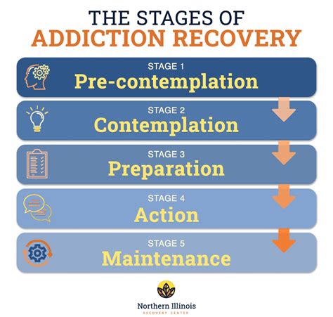 The 7 Stages of Addiction - Brookdale Recovery