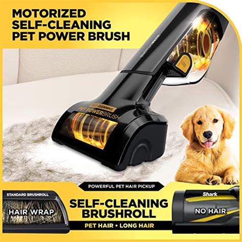 The 8 Best Handheld Vacuums For Pet Hair Cleaning 2024