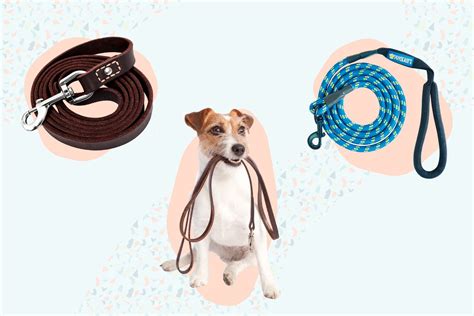 The 9 Best Dog Leashes of 2024 - The Spruce Pets