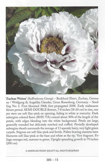 The APS Bulletin American Peony Society