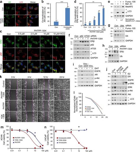 The AUTOTAC chemical biology platform for targeted protein