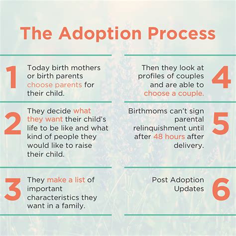 The Adoption Process: A Step-by-Step Guide