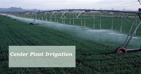 The Advantages and Disadvantages of Center Pivot Irrigation