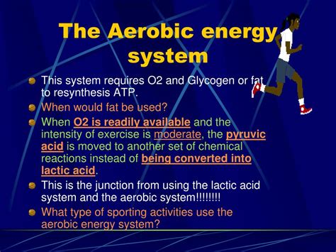 The Aerobic Energy System: What it is, Why it