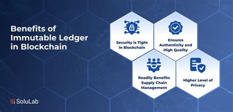 The Allure of Blockchain: Immutability and Security
