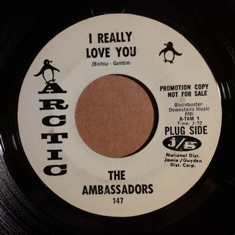 The Ambassadors - I Really Love You / I Can