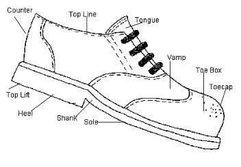 The Anatomy of Velcro Shoes