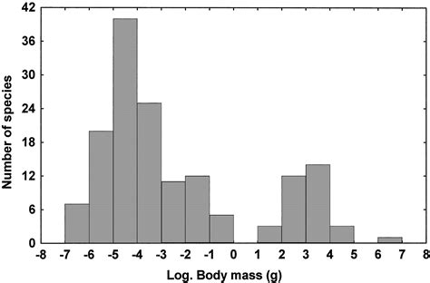 The Animal Species-Body Size Distribution of Marion Island