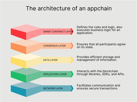 The Architecture of an Appchain Ecosystem