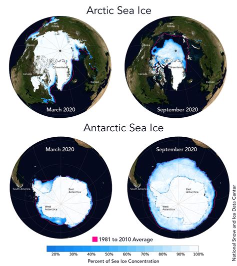 The Arctic is larger and more diverse than you think - ArcticToday