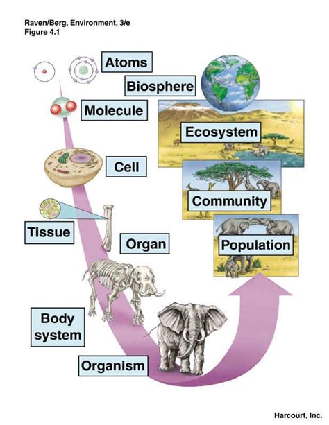 The Area Where An Organism Lives » Theblogy.com