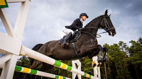 The Art of Show Jumping: Mastering the Basics with Alec Lawler