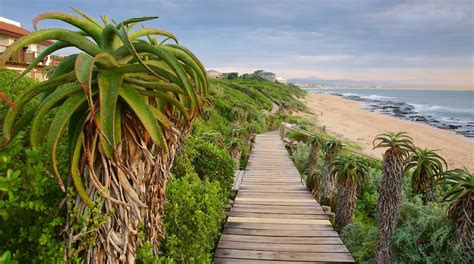 The BEST Jeffreys Bay Tours and Excursions in 2024