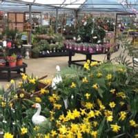 The Barn Garden Centre at Peterborough - Opening Hours, Location