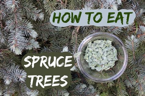 The Basics of Making Stock - The Spruce Eats