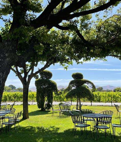 The Bay Area’s best picnic spots: Concannon Vineyard, Livermore
