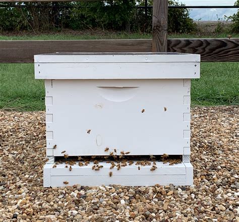 The Bee Supply — Texas Bee Supply