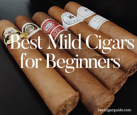 The Beginners Guide to Black and Mild Cigars CStoreCigars