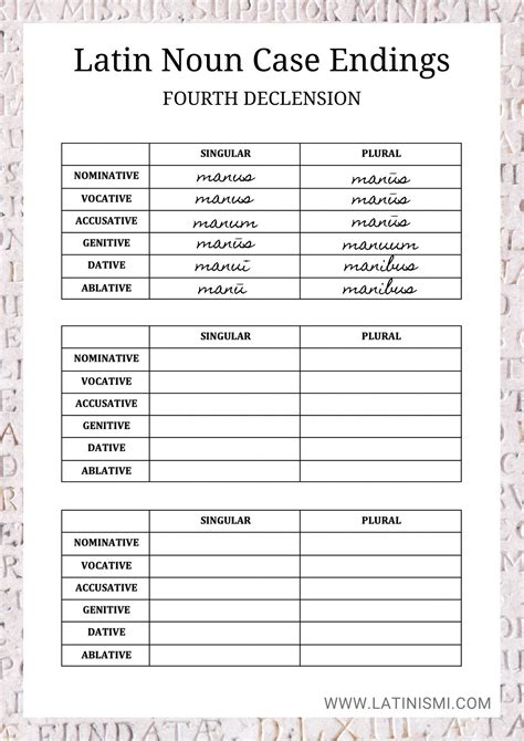 The Beginners Latin Grammar And Exercises