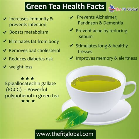 The Benefits Of Drinking Green Tea When You Have Norovirus