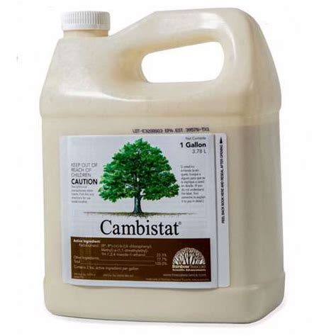 The Benefits of Cambistat for Controlling Tree Growth