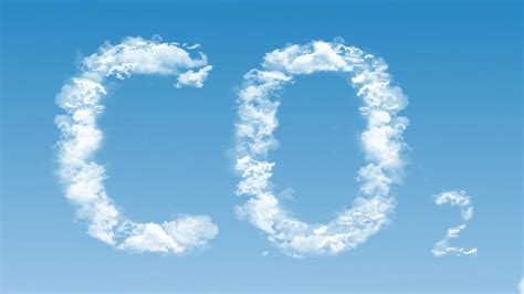 The Benefits of Carbon Dioxide (CO2) - Forestrypedia