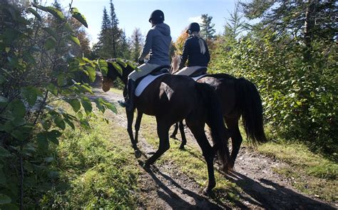 The Best 10 Horseback Riding near me in Kawartha Lakes, Ontario - Yelp