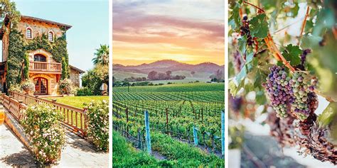 The Best 10 Wineries near Chino Hills, CA - Yelp