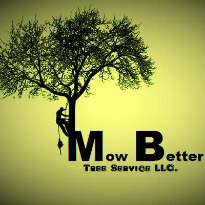 The Best 6 Tree Services in Titusville, FL WhoDoYou