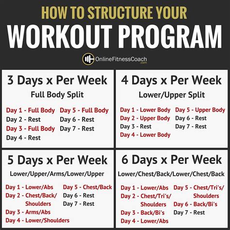 The Best 8-Week Weight Loss Exercise Plan (Full Body) - FITNESS …