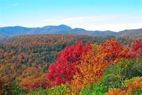 The Best Blue Ridge Vacation Packages 2024