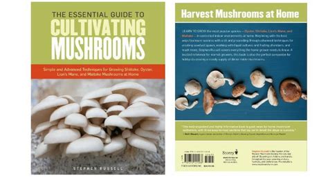 The Best Books on Mushroom Cultivation - FreshCap Mushrooms