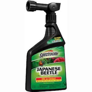 The Best Bug Sprays For Japanese Beetles – PatchPets