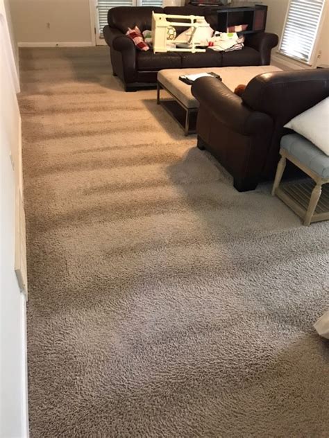 The Best Carpet Cleaners in Germantown, TN WhoDoYou