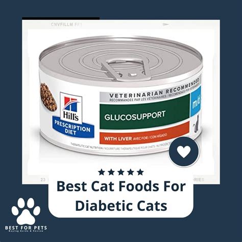 The Best Cat Food for Diabetic Cats - Cultural Cat