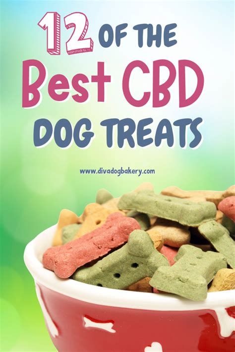 The Best Cbd Dog Treats