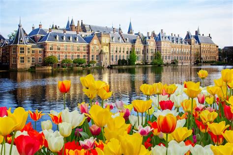 The Best Day Trips from Amsterdam - SSW.