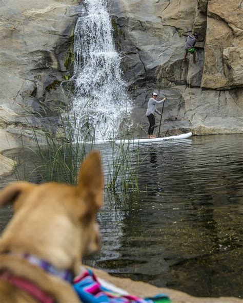 The Best Dog-Friendly Camping Spots On And Around the …