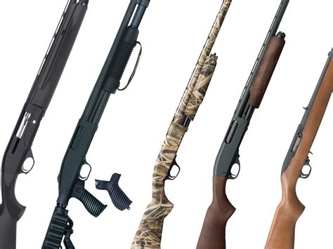 The Best Guns for First-Time Buyers Field & Stream