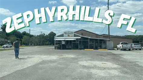 The Best Handymen in Zephyrhills, FL WhoDoYou