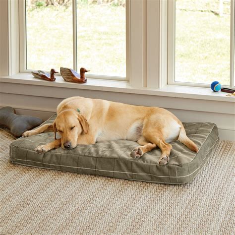 The Best Indestructible Dog Bed - Tough Chew Proof Options